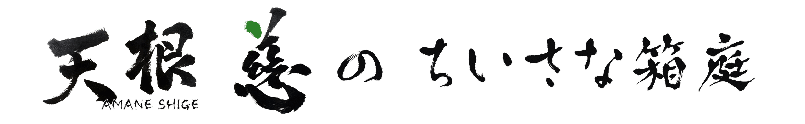 天根 慈のちいさな箱庭